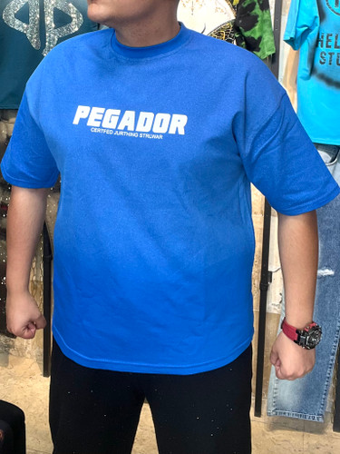 تیشرت مردانه رنگ آبی چاپ پگادور